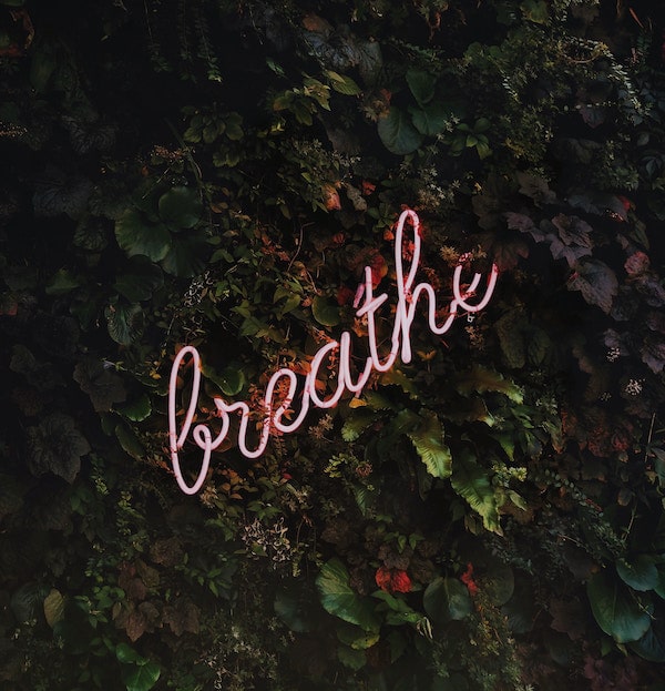 breathe-in-greenery